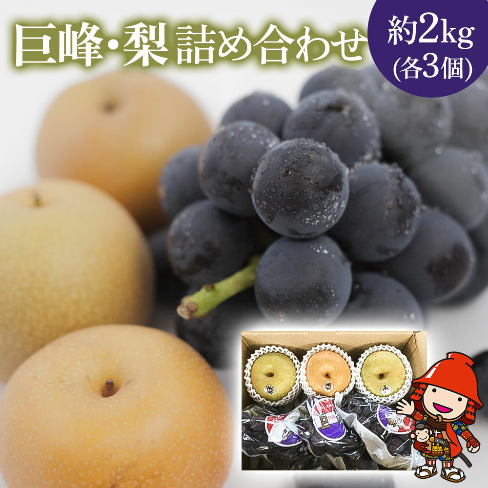【ふるさと納税】【先行予約】糖度計使用 巨峰・梨 詰め合わせ 約2kg (巨峰3個、梨3個) | ブドウ ぶどう 葡萄 果物 フルーツ くだもの ギフト プレゼント 贈答品 大分県産 九州産 中津市 送料無料【発送は2025年8月5日～2025年9月20日までの予定】