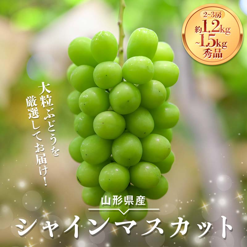 【ふるさと納税】 【安達農園】≪2025年先行予約≫山形県産 大粒ぶどう シャインマスカット 【選べる容量 約1.2kg（2房）／約1.5kg（2～3房）】 秀品 2025年9月中旬から順次発送 F2Y-6146var