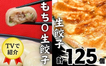 えひめの美味しい厳選餃子 あさの生餃子 もち〇生餃子 セット【5パック 計125個】【ASN003】