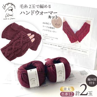 ふるさと納税 江南市 毛糸2玉で編めるケーブル模様のハンドウォーマーキット 12番色