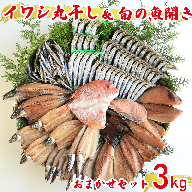 
【訳あり】魚の丸干し＆開き おまかせセット3kg 魚 海鮮 干物 ひもの 丸干し 切り身 おつまみ おかず 人気 珍味 グルメ 規格外 国産 武久海産 新鮮 魚介 天然 乾き物 乾物 酒のあて ごはんのおかず 旬 季節 愛媛 愛南
