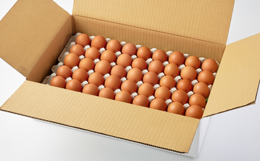 大分生まれのAW飼い有精卵「豊の米卵」10kg(赤卵)【配送不可地域：離島】