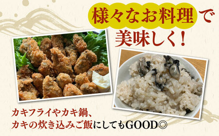 【季節限定】 天然 岩カキ 100g×2パック（生食用）《壱岐市》【鈴の海庭】 牡蠣 カキ 岩牡蠣 貝 魚貝 海産物 おつまみ カキフライ 鍋 カキ鍋 牡蠣鍋 カキ飯[JFV002]