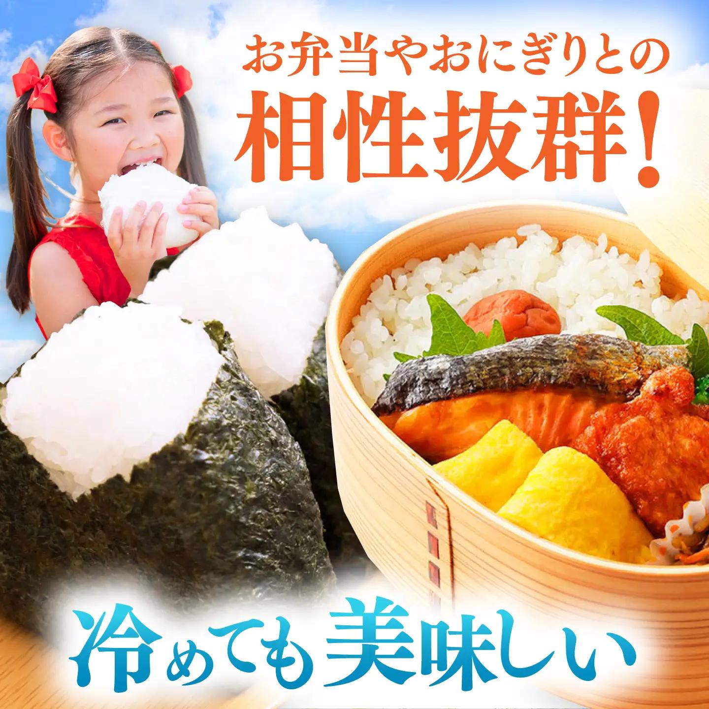 【R8年産】【2026年10月中旬頃より順次発送】特A 対馬産 にこまる 5kg×2「ほたる舞う三根川の米」 新米 米 10kg  [WAJ001]