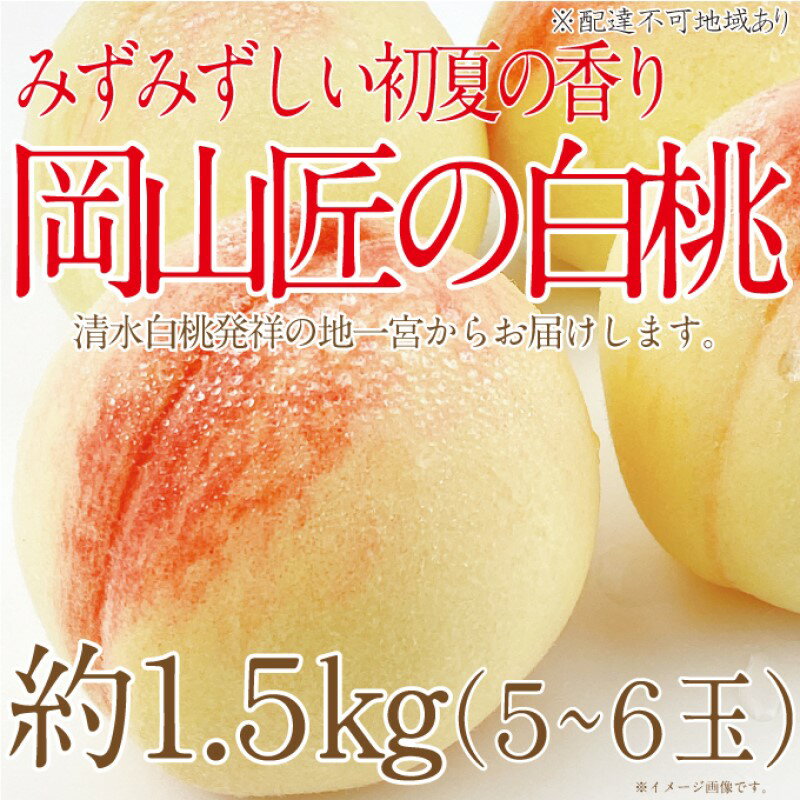 【ふるさと納税】もも 2025年 先行予約 岡山匠の白桃 約1.5kg 5～6玉 犬塚農園 岡山県産 清水白桃 桃 モモ ギフト 初夏 みずみずしい 　お届け：2025年6月25日～2025年7月31日