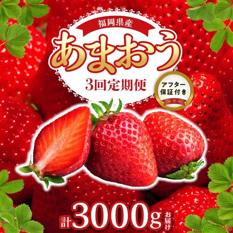 【2027年1月以降お届け】あまおう 約250g 4パック×3回 計12パック【定期便 3回】_ いちご 果物 フルーツ〔Fi301〕