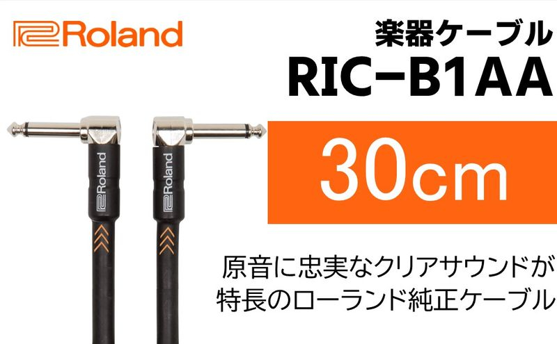 
【Roland純正】楽器ケーブル 30cm/RIC-B1AA【配送不可：離島】 [№5786-5954]
