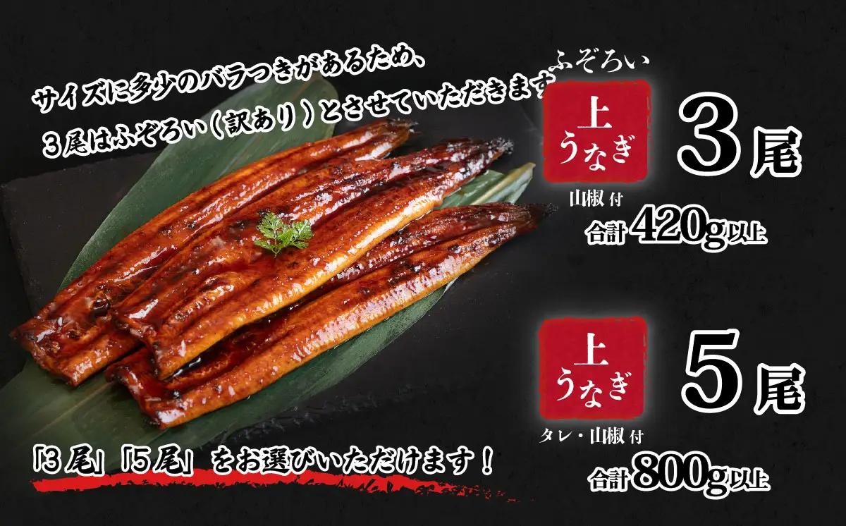 うなぎ 国産 うなぎ 蒲焼き 5尾 800g 化粧箱
