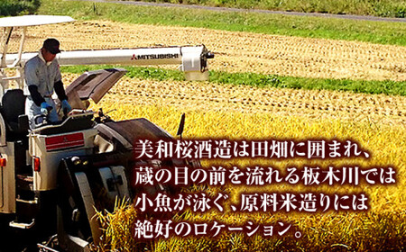 純米吟醸酒・純米酒セット 三次市/美和桜酒造[APBF007]