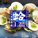 【ふるさと納税】”チン”するはまぐり 約250g×5パック【配送不可地域：離島】【1073884】