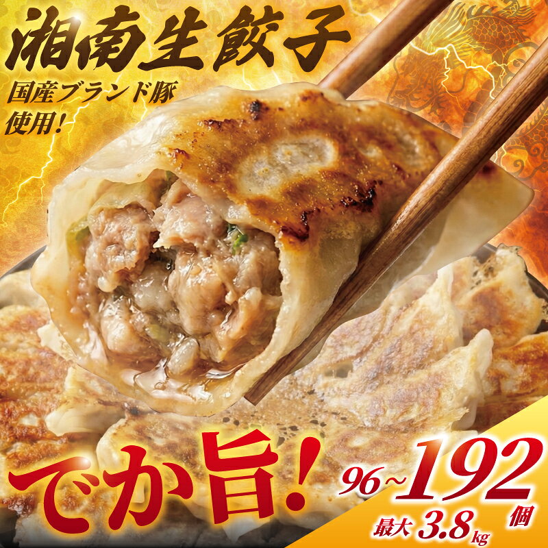 【ふるさと納税】 湘南餃子 ぎょうざ 96個 ~ 192個 (48個/パック) 最大 3.8kg 肉汁 たっぷり 大きい 国産 ブランド豚 小分 豚肉 豚 野菜 肉 ぶた 餃子 焼き餃子 gyouza ギョーザ 冷凍餃子 生餃子 冷凍 ご飯 おかず 冷凍食品 大容量 中華 飲茶 サノフーズ 神奈川 湘南 藤沢