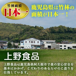 国産味付タケノコキムチ(100g×2パック) 国産 筍 辛味 ピリ辛 焼肉 おかず おつまみ キムチ メンマ めんま お試し 常温保存 【上野食品】a-3-1