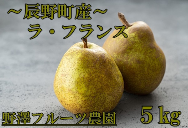 
            231 先行予約 辰野産 ラ・フランス ５㎏ 【野澤フルーツ農園】
          