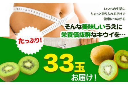 キウイフルーツ 約 3.6kg 約 33玉 JA東とくしま 《1月上旬-3月下旬頃出荷》キウイ キウイフルーツ 果物 フルーツ 徳島県 上勝町 送料無料 常温 便 st-p