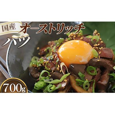 ふるさと納税 美里町 国産オーストリッチハツ　700g ◆ダチョウ肉