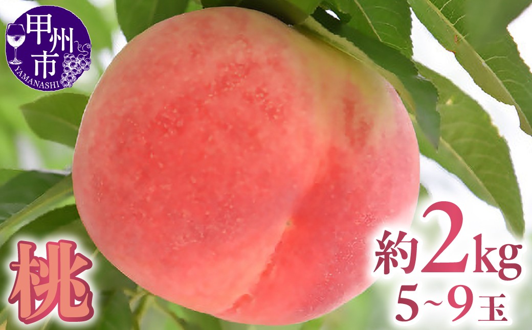 
                  甲州市勝沼産 桃 約2kg（5～9玉）【2027年発送】（AZY）B-827【桃 もも モモ 令和9年発送 山梨県 甲州市 勝沼産 フルーツ 果物】
                