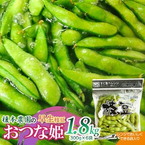 【令和8年産先行予約】榎本農園の早生枝豆 おつな姫 1.8㎏（電子レンジでおいしく出来る袋入り300ｇ×6袋）　K-834