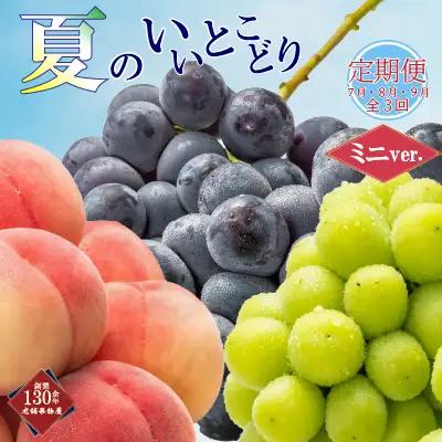 【全3回】フルーツ定期便 夏 くだもの 少人数用 定期便 くだもの畑PonPon