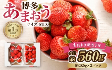 【アフター保証】4月発送！JAよりお届け！「博多あまおう」約280g×2パック【ほたるの里】_HA1938