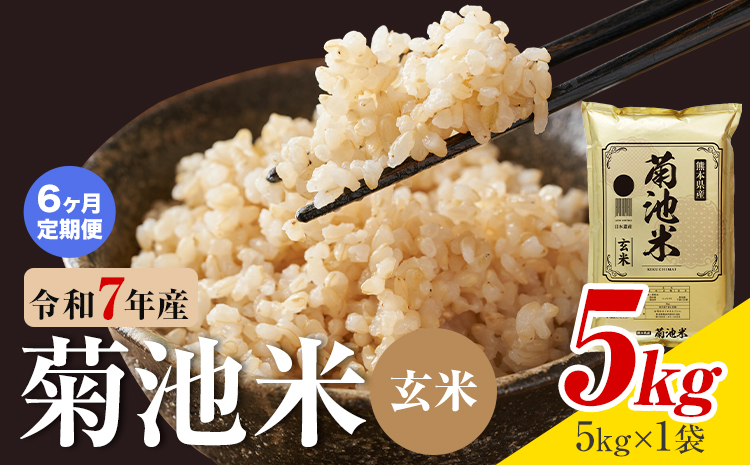 【6ヶ月定期便】熊本県産 菊池米 玄米 5kg 1袋5kg 米 お米 令和7年産 九州産 熊本県産 送料無料《お申込み翌月に出荷予定》玄米 米---026-5041---