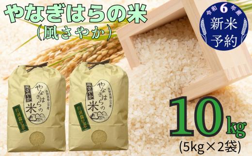 【令和6年産 新米予約】 「やなぎはらの米　風さやか」10㎏ (6-42)