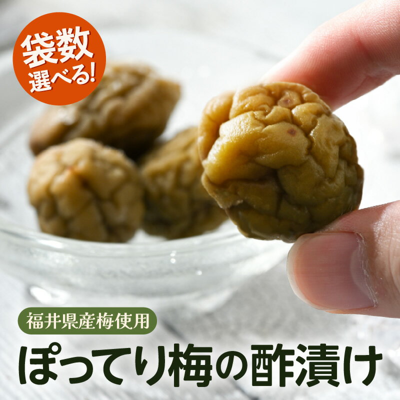 【ふるさと納税】福井県産梅 ぽってり梅の酢漬け【選べる内容量：510g/810g】【甘酸っぱい 国産梅 うめ フルーティー おやつ 梅干し ギフト 母の日 父の日 敬老の日】