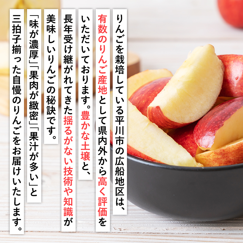 年明け 吹田りんご園 山の完熟サンふじ約5kg 【吹田りんご園・青森りんご・平川市広船産・1月・2月・3月】