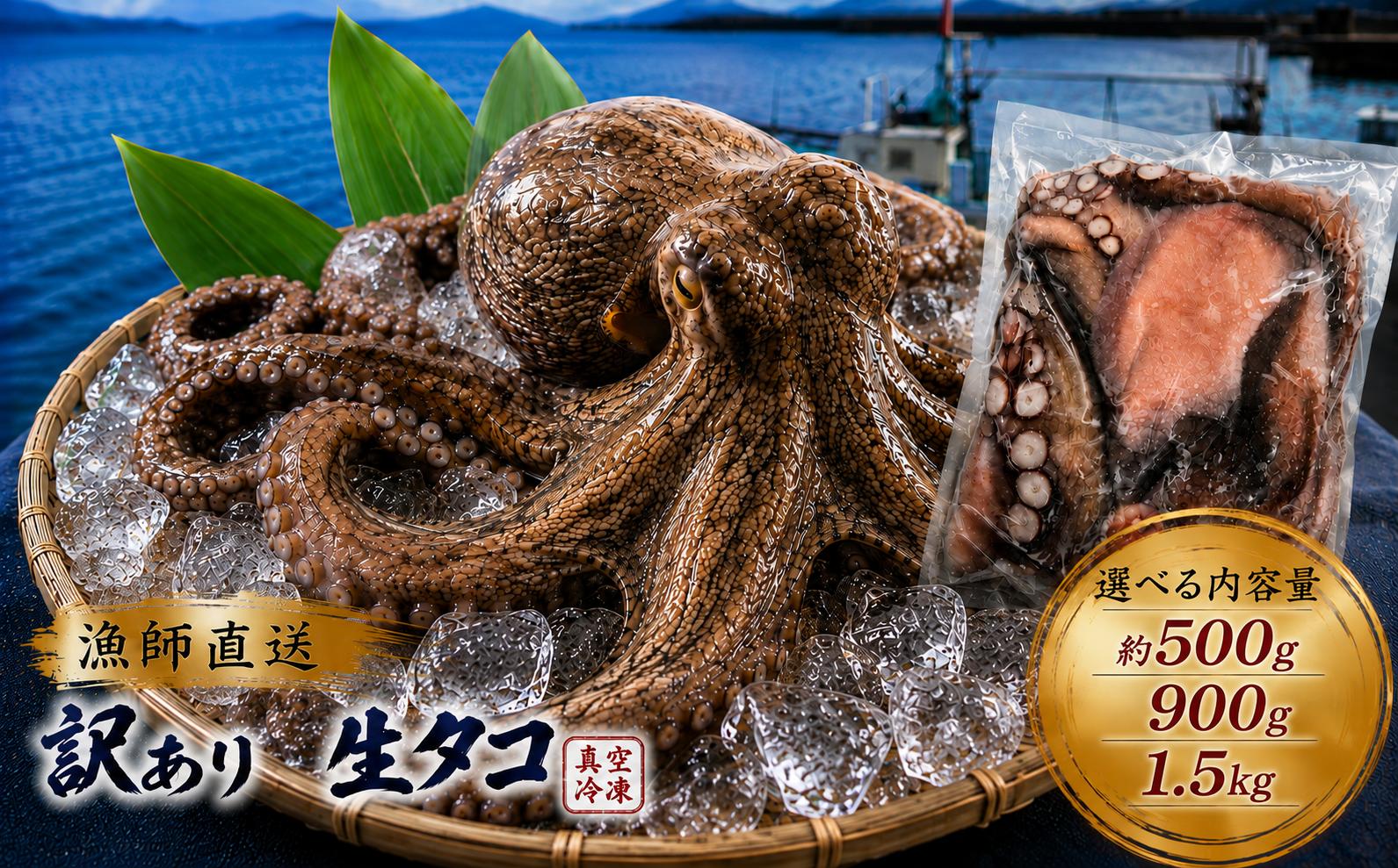 
                  訳あり 瀬戸内 海の幸セット 真空 生タコ 冷凍発送 選べる 内容量 約 500g 900g 1.5kg | 魚 魚介 タコ たこ 海 幸 生タコ 海鮮 まだこ マダコ 規格外 不揃い 真空 瀬戸内海 セット 山口県 山口 平生町
                