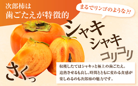 ≪先行予約≫ 数量限定 生産量日本一 愛知県豊橋産 次郎柿 秀品 贈り物にも！ 6.5kg 柿 甘柿 果物 フルーツ 10月 11月 愛知県 豊橋市 ビタミンC 高栄養価 食物繊維 旬をおとどけ