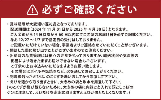 【配送日必須】期間限定!【上天草市ブランド認証品】活、匠の車えび約550g(約14～21尾)