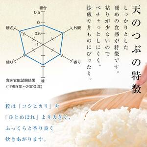 さいとう農園が作った天のつぶ 精米5kg 白米 ご飯 ごはん ライス 伊達市 F20C-914