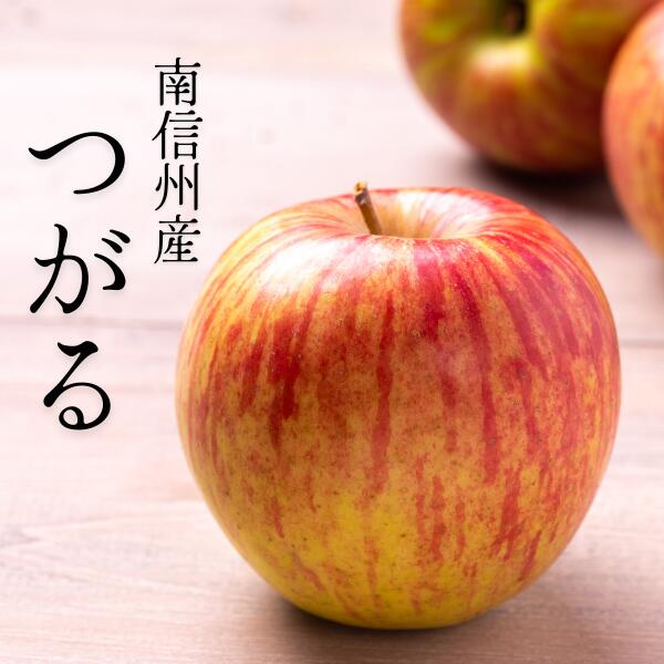 【ふるさと納税】りんご つがる 贈答 約3キロ／8月下旬頃から発送予定 南信州 長野県 ギフト 早生りんご