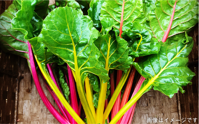 朝採り季節のオーガニック旬野菜お任せ5品＋糸島産の大ヒット特産加工品2品の計7品セット [AGE028]