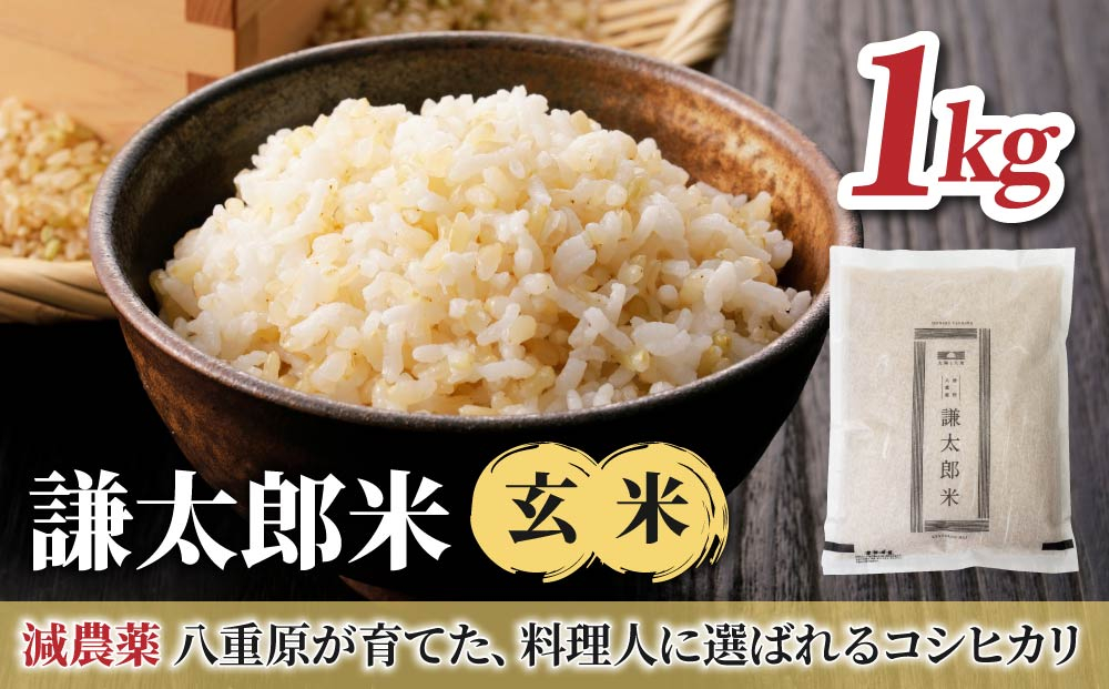 【令和8年産 新米】八重原産コシヒカリ玄米「謙太郎米」1kg お試し｜特別栽培米（減農薬・減化学肥料栽培）【太陽と大地】