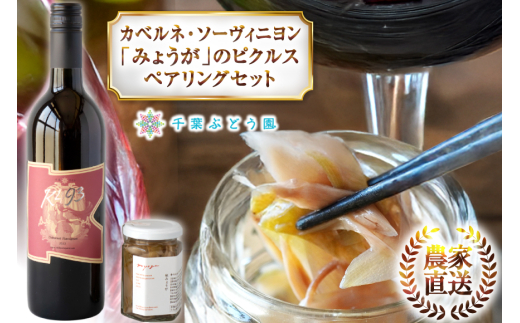 赤 ワイン 中口 辛口 赤ワイン カベルネ・ソーヴィニヨン 「みょうが」のピクルス セット 山梨ワイン 山梨 ワインセット 詰め合わせ ソーヴィニヨン みょうが ピクルス ペアリング おつまみ ツクルジョ [千葉ぶどう園 山梨県 韮崎市 20744981]
