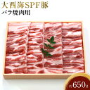 【ふるさと納税】大西海SPF豚 バラ焼肉用 約650g | 長崎県 九州 豚 豚肉 にく 豚バラ 焼き肉 焼肉 長崎和牛 お取り寄せ ふるさと 支援 支援品 納税