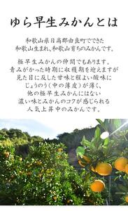 ゆら早生みかん 小玉2S・3S 秀 5kg ｜和歌山県産 甘みと酸味が美味しい人気の旬果物を産地直送｜ ゆら早生みかん 温州 ２S 3S［Mg23］