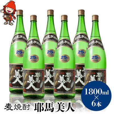 ふるさと納税 中津市 麦焼酎　耶馬美人25度　 1,800ml×6
