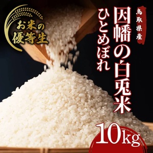 Y487 因幡の白兎米 ひとめぼれ 令和7年産 精米済 10kg（5kg×2袋）