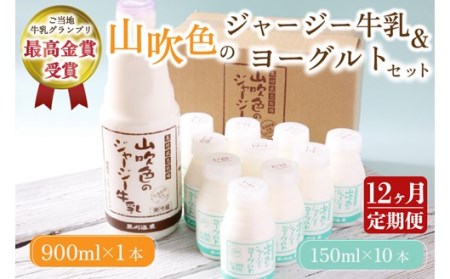 【12ヶ月定期便】 山吹色のジャージー牛乳・ヨーグルトセット 定期便 黒川温泉 山吹色のジャージー牛乳 飲むヨーグルト 2種 11本 ジャージー牛乳 900ml のむヨーグルト 150ml 詰め合わせ アソート セット 乳製品 飲料 健康 腸活 免疫力アップ 乳酸菌 ご当地牛乳グランプリ ご当地 ギフト 贈答用 山のいぶき 熊本 阿蘇 南小国町 送料無料