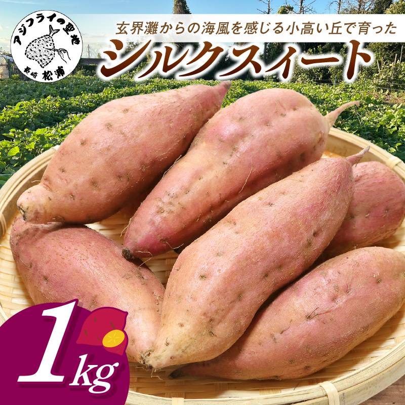 【長崎県松浦市産】畑の宝石 さつまいも(シルクスイート) 1kg ( さつまいも シルクスイート 長崎県松浦市産 長崎県産 )【A4-001】