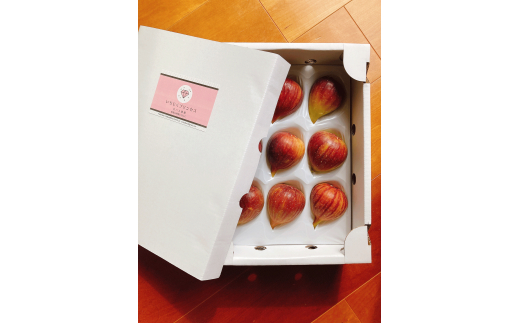 N173　いちじくプリンセス　１箱