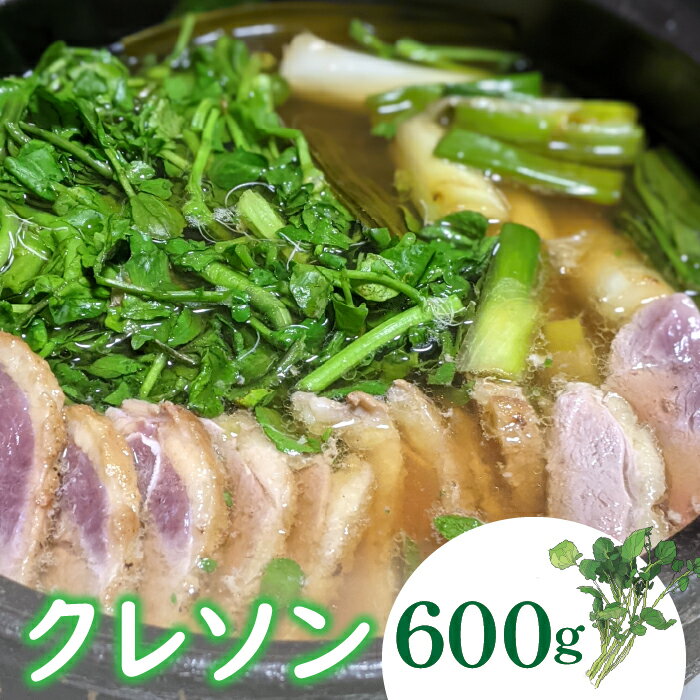 【ふるさと納税】 クレソン 600g ※北海道・沖縄・離島への配送不可 ※着日指定不可ふるさと納税 野菜 やさい クレソン 付け合わせ 山梨県 道志村 送料無料 DSL005