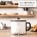 【ふるさと納税】ツインバード コンパクトフライヤー(EP-4694PW)【 ツインバード TWINBIRD　卓上フライヤー フライヤー 揚げ物 揚物 ポッド 電気ポッド キッチン家電 ふらいやー 家庭用 電気 家電 新潟県 燕市 燕三条 】