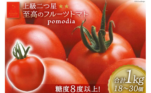 上級 二つ星 至高のフルーツトマト pomodia ポモディア 約1kg（18～30個） [農事組合法人 た・から 山梨県 中央市 21470256] トマト とまと フルーツ 野菜 やさい 1キロ 数量限定 期間限定【2025年10月下旬-2026年2月上旬発送予定】