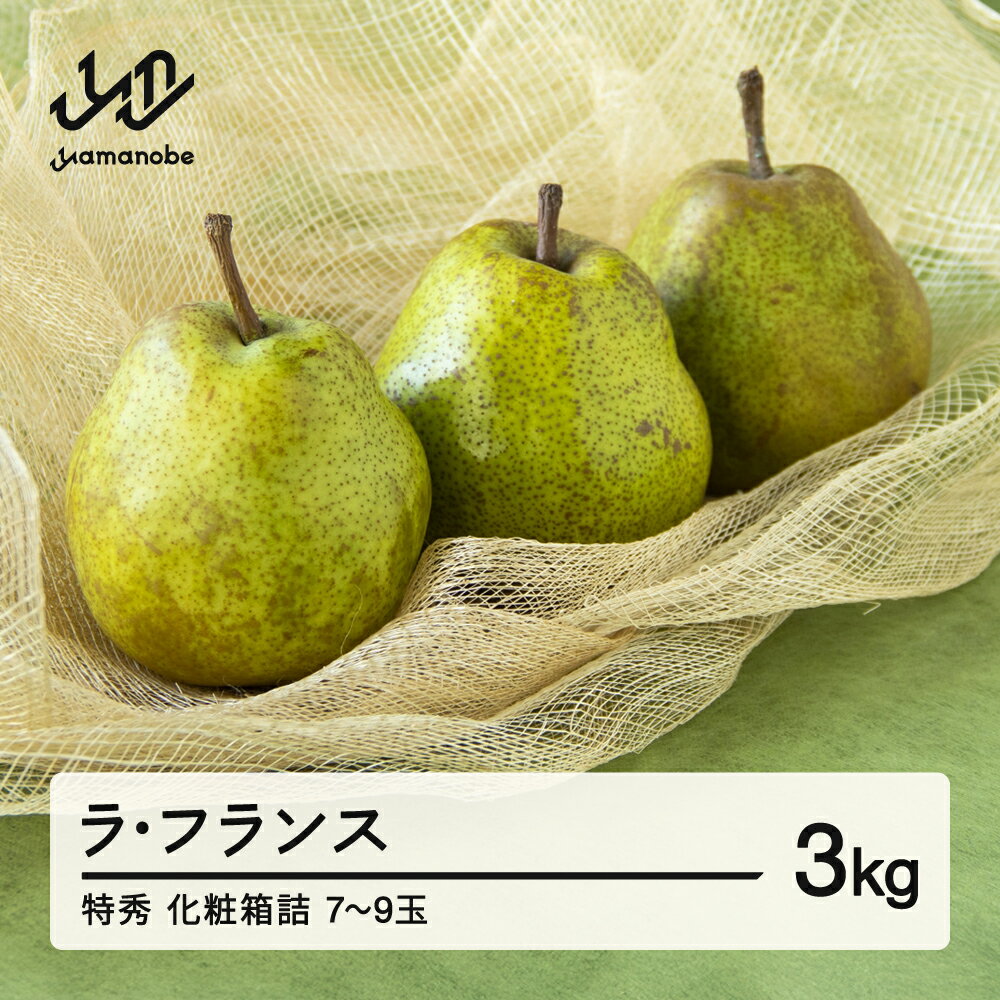 【ふるさと納税】《先行予約》山形県産 西洋梨（ラ・フランス）約3kg 2025年産 令和7年産 特秀 化粧箱詰（7～9玉) 送料無料 ※沖縄・離島への配送不可 F20A-072