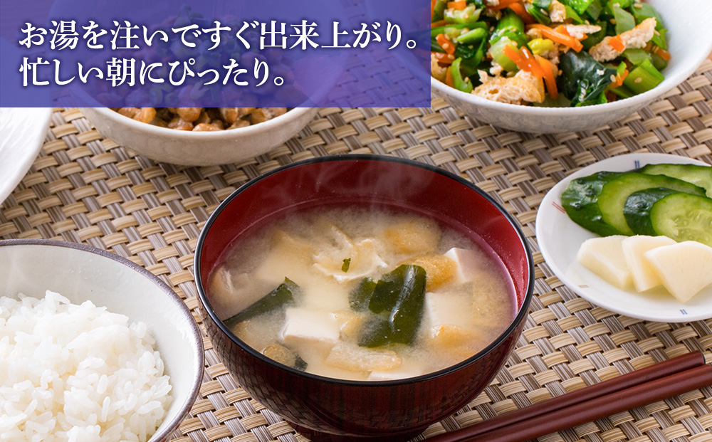 【定期便3ヶ月】 味噌汁 インスタント 減塩 みそ汁 徳用 即席 4種 22食入 スープ 2袋 セット【紅一点】《千歳工場製造》