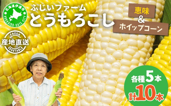  北海道産 とうもろこし 恵味 ホイップコーン トウモロコシ とうきび イエロー ホワイト コーン スイートコーン 先行受付 新鮮 産地直送 野菜 めぐみ ふじいファーム  送料無料 北海道 伊達