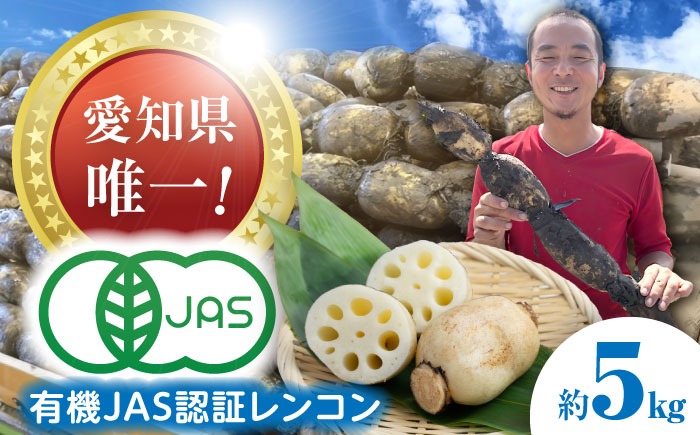 有機JAS認証 土付きレンコン 5kg れんこん 有機栽培 産地直送 野菜 愛西市 / 株式会社山三レンコン [AEBK004]