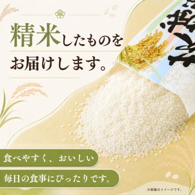ふるさと納税 かすみがうら市 【毎月定期便】茨城県かすみがうら市産　精米　コシヒカリ5kg全6回 |  | 01